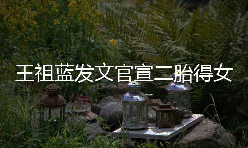 宣二戏蓝发胎得女女人一台王祖文官三个